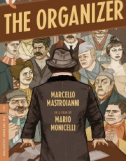 The Organizer