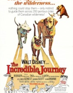 The Incredible Journey