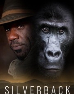 Silverback