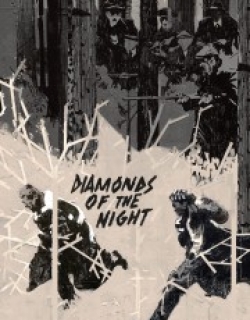 Diamonds of the Night