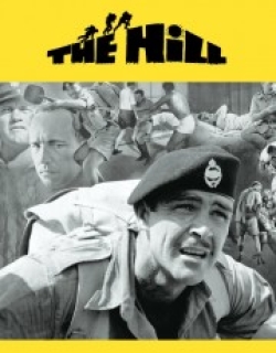 The Hill