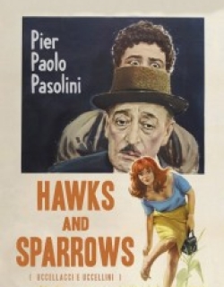 Hawks and Sparrows