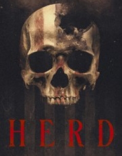 Herd