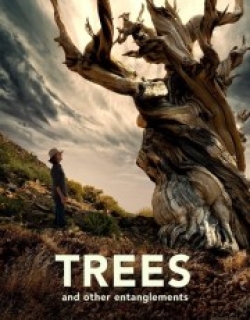 Trees and Other Entanglements