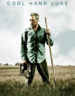 Cool Hand Luke