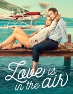 Love Is in the Air