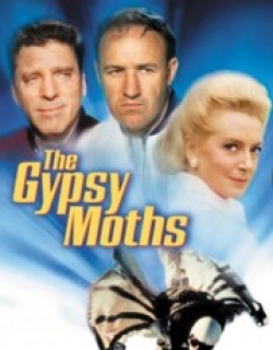 The Gypsy Moths