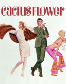 Cactus Flower