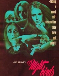 Nightbirds