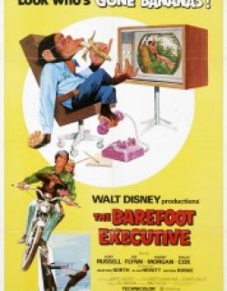 The Barefoot Executive
