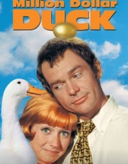 The Million Dollar Duck