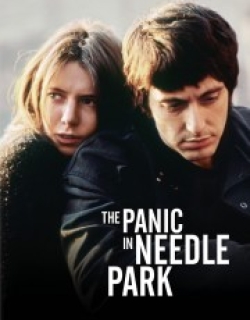 The Panic in Needle Park