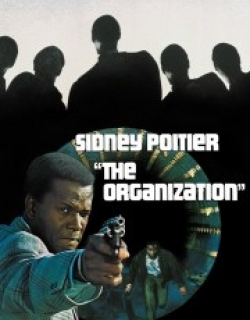 The Organization