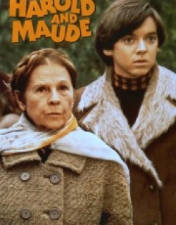 Harold and Maude
