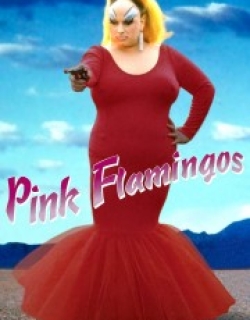 Pink Flamingos