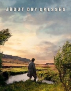 About Dry Grasses