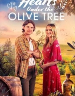 Hearts Under the Olive Tree