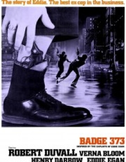 Badge 373