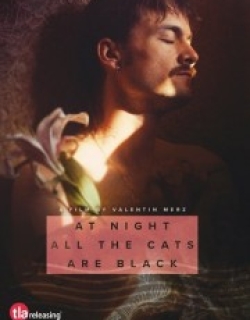 At Night All the Cats Are Black