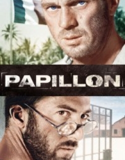Papillon
