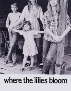 Where the Lilies Bloom