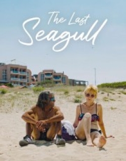 The Last Seagull