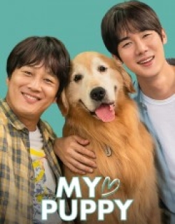 My♡Puppy