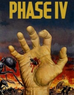 Phase IV