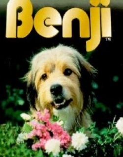 Benji