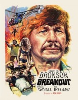 Breakout