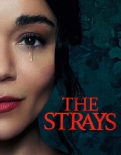The Strays