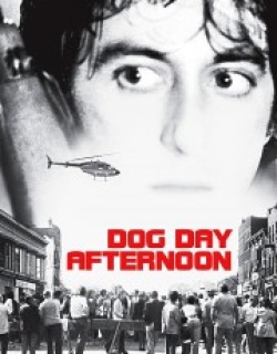 Dog Day Afternoon
