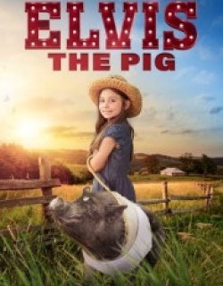 Elvis the Pig