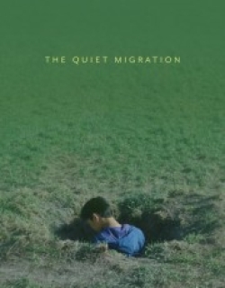 The Quiet Migration