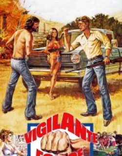 Vigilante Force