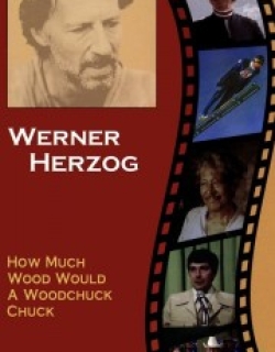 How Much Wood Would a Woodchuck Chuck