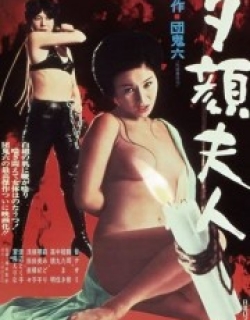 Madame Evening Glory