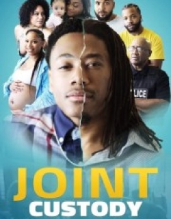 Joint Custody