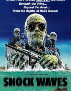 Shock Waves