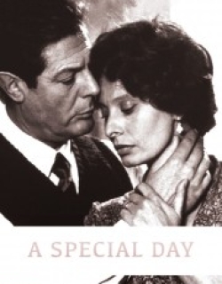 A Special Day