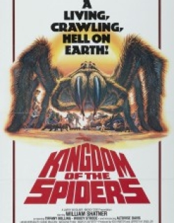 Kingdom of the Spiders