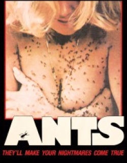 Ants