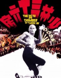 The 36th Chamber of Shaolin