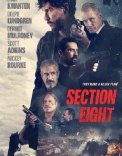 Section 8