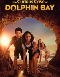 The Curious Case of Dolphin Bay