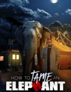How To Tame An Elephant