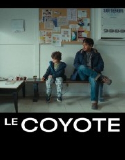 The Coyote