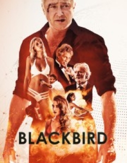 Blackbird