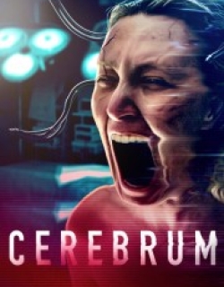 Cerebrum