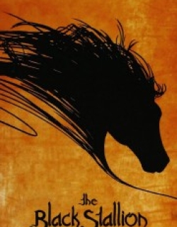 The Black Stallion